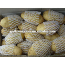 Chine export de pommes de terre fraîches / pomme de terre longue